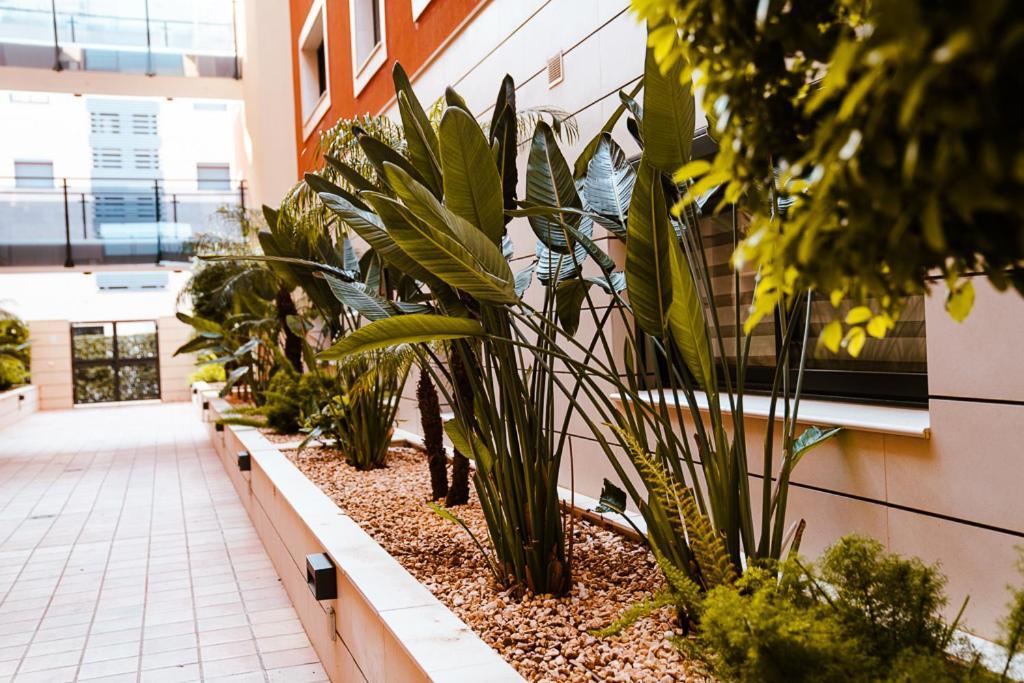 Ferienwohnung Sol Dénia Exterior foto